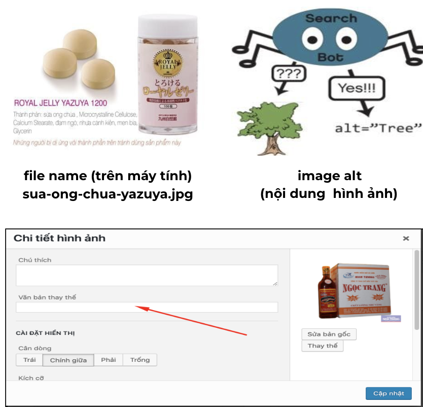 seo-onpage-8
