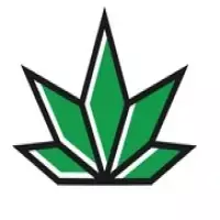 No Brakes Exotics | No Brakes Exotics Dispensary